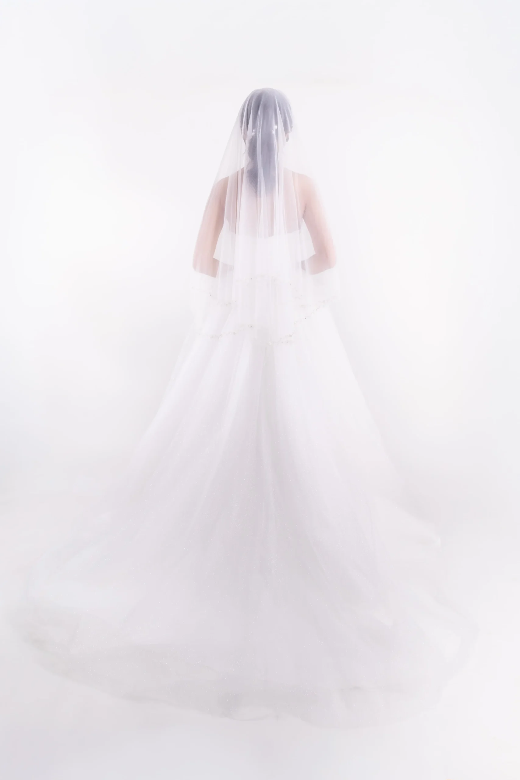 ROMANTIC BEADED LACE AND TULLE BALL GOWN WEDDING DRESS 7 SINGAPORE BRIDAL GOWN K GOWN_ SWEETHEART BALL GOWN WEDDING DRESS SINGAPORE WITH BEADED LACE_FULL BACK VIEW WITH VEIL
